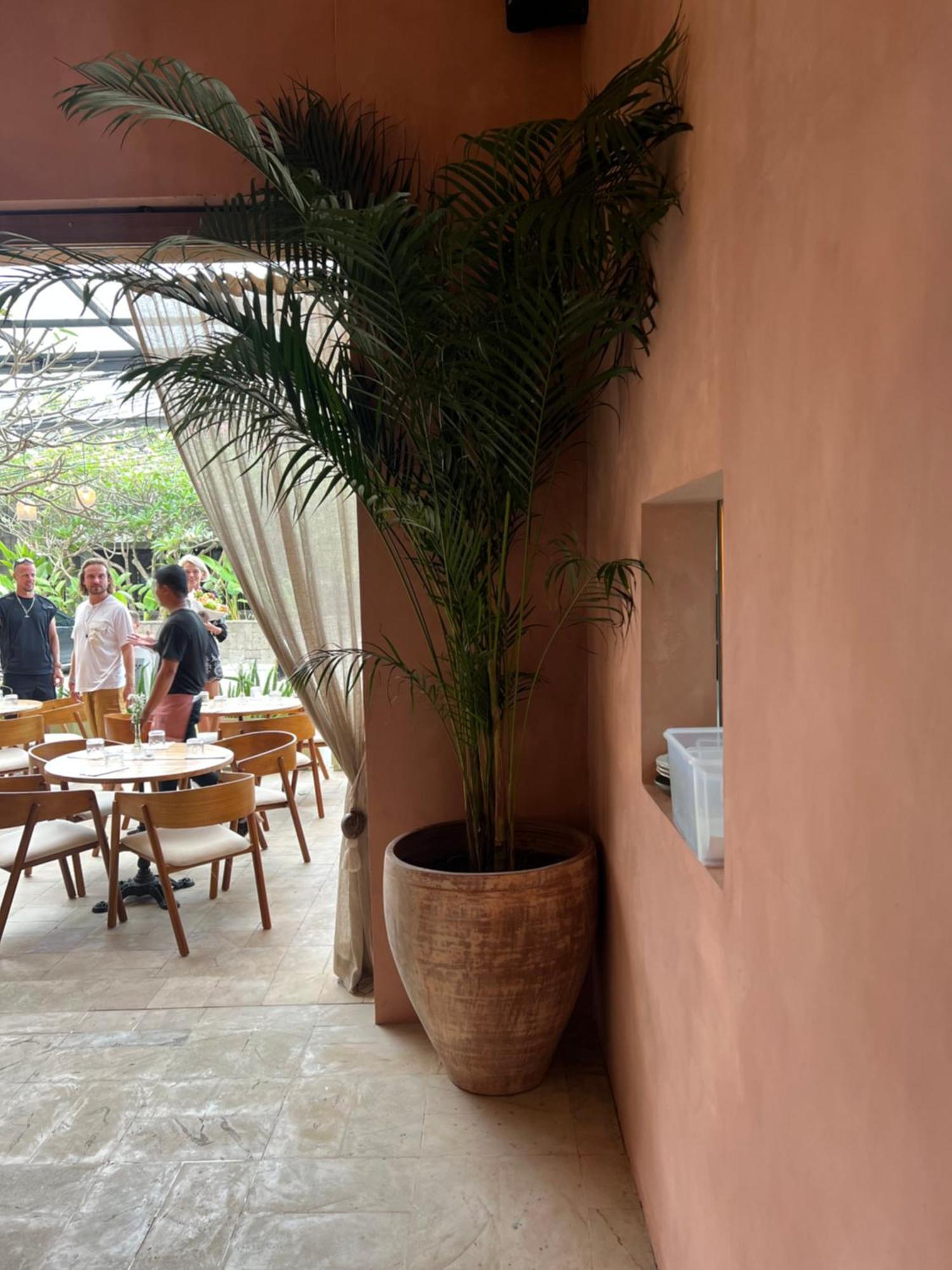 Grass Terrace Homestay Canggu Екстериор снимка