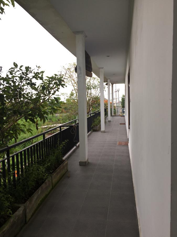 Grass Terrace Homestay Canggu Екстериор снимка